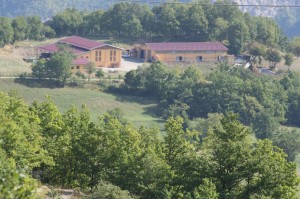 Azienda Agricola Le Comunaglie, Allevamento Val d'Ozola